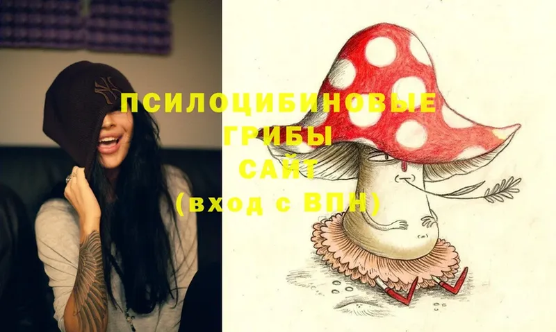 Псилоцибиновые грибы MAGIC MUSHROOMS  купить наркоту  Алексин 